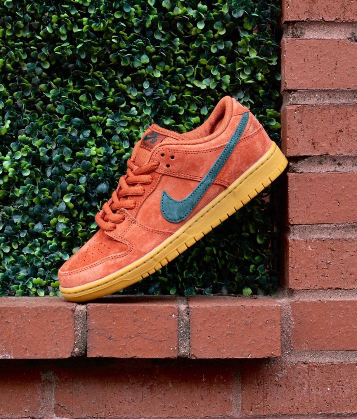 Nike SB Dunk Low Pro 'Burnt Sunrise'